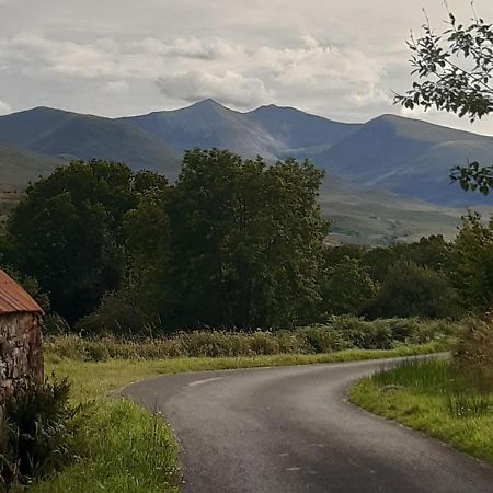 Cul Darach Lodge, Glen Roy Nature Reserve ロイブリッジ エクステリア 写真